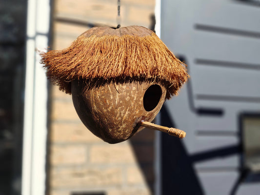 Vogelhuisje - kokosnoot - winter - verblijf - exotisch