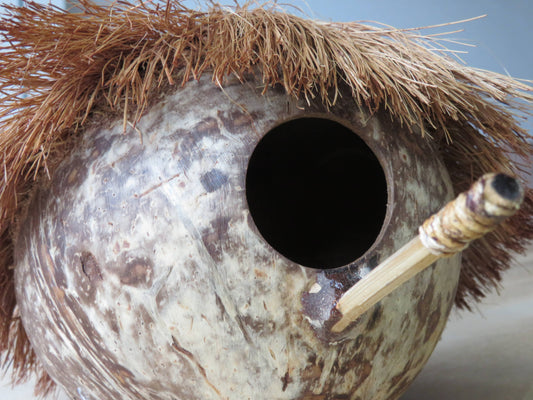 Vogelhuisje - kokosnoot - winter - verblijf - exotisch