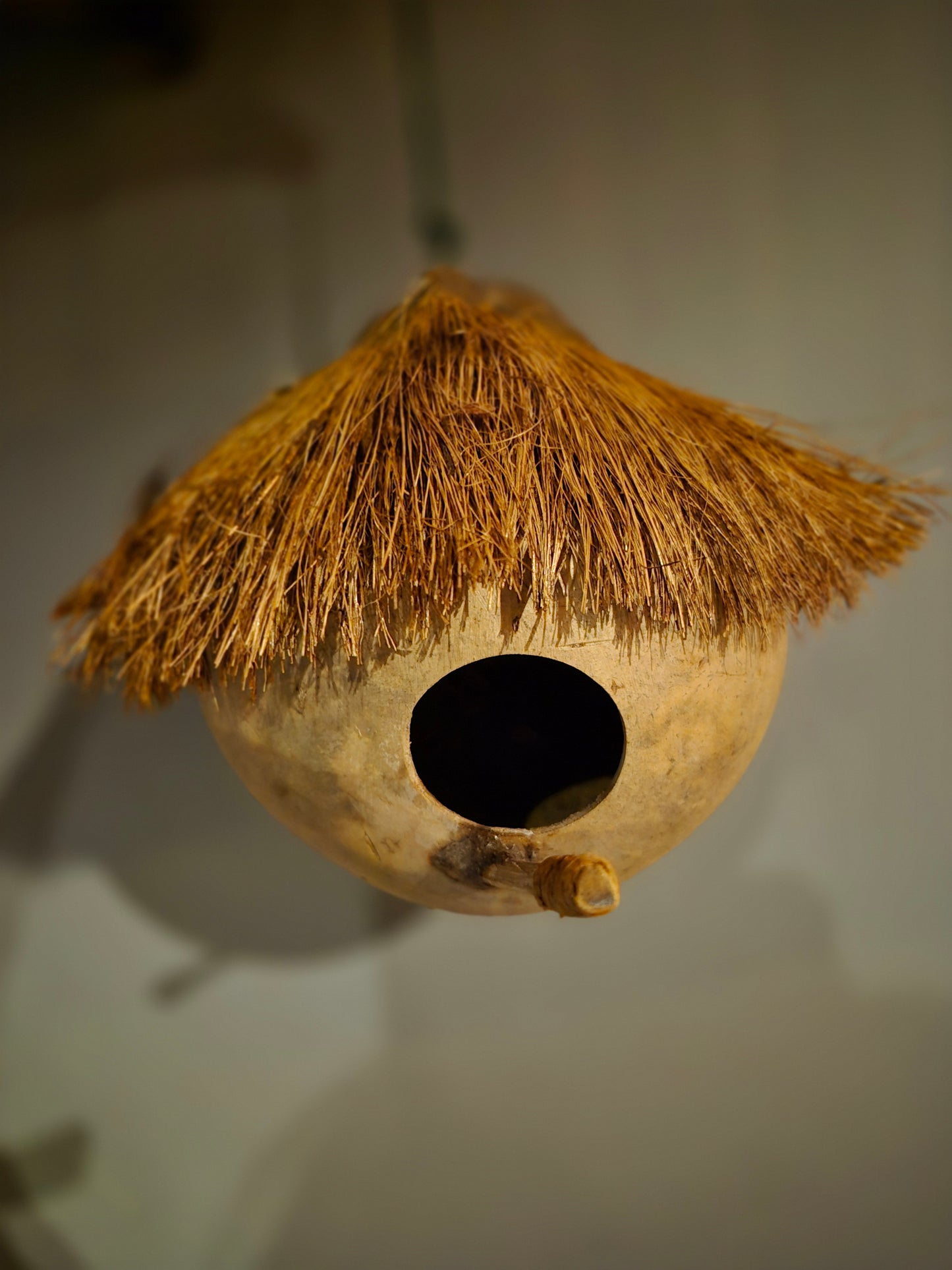 Vogelhuisje - kokosnoot - winter - verblijf - exotisch